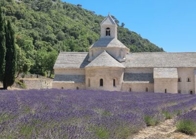 Provence reverie - circuits touristique en Provence