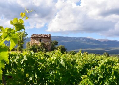 Provence reverie - circuits touristique en Provence